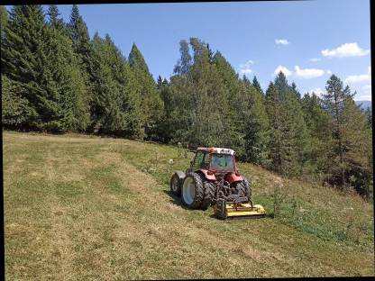 Bild 2:Mulchen von sämtlichen Flächen