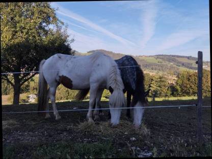 Bild 2:Einstellplatz