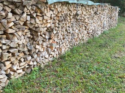 Buchen/Eschenscheiter Südoststeiermark