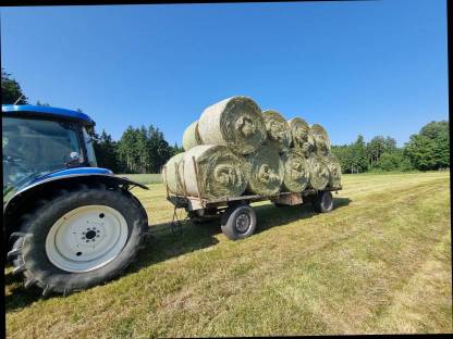 Heuballen