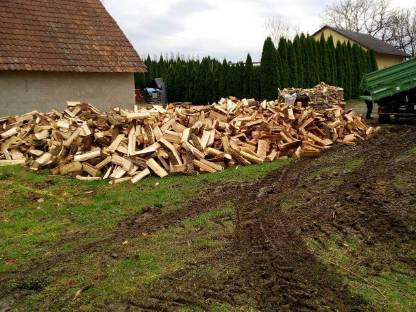 Bild 5:Brennholz (ofenfertig)