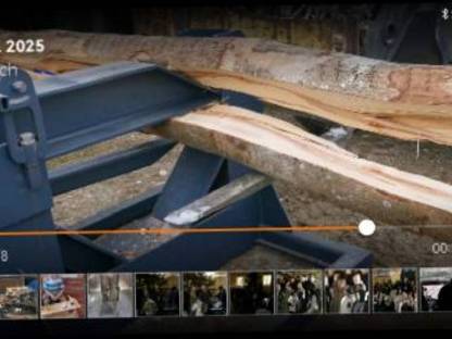 Bild 4:Langholzspalter