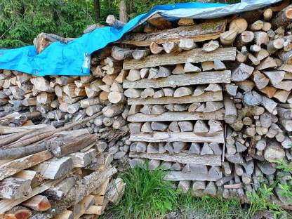 Bild 2:Scheitholz Esche