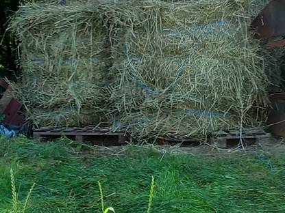 Bild 2:Heu Rundballen ca. 1,3