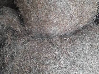 Bild 2:Heu zu verkaufen