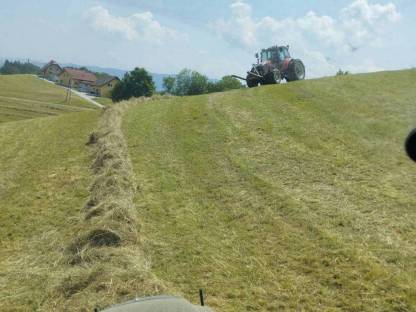 Bild 2:Pferdeheu von Naturschutzflächen