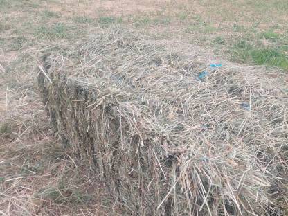 Bild 2:Heu Kleinballen