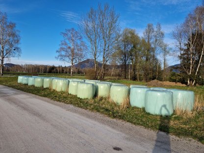 Heu-Silage-Ballen 1. Schnitt Juni 2024