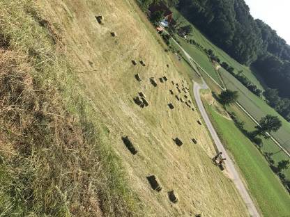 Heuballen 2025