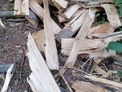 Bild 2:Brennholz Restholz