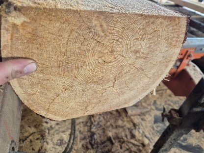 Bild 4:Lärchenpfosten