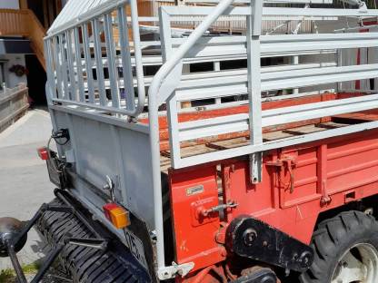 Bild 4:Reform Muli 33