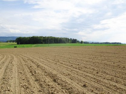 Verkauf: 1,22 ha Ackergrund in Haidershofen