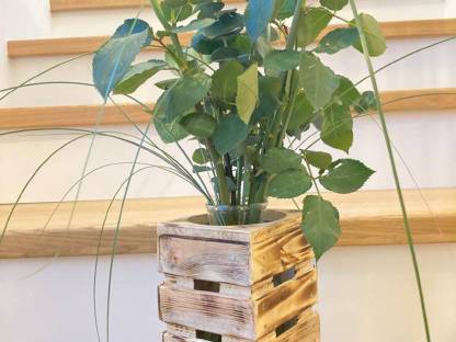 Bild 7:Stehtisch, Barhocker, Apfel-Steigerl