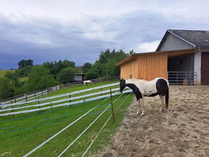 Bild 5:Einstellplatz (Offenstall)