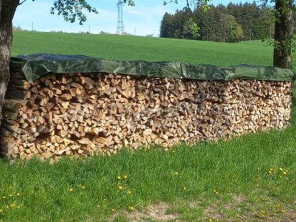 Brennholz