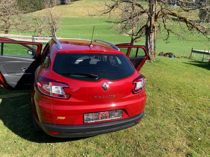 Bild 4:Renault Megane Kombiline