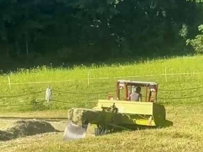 Bild 3:Heu in Kleinballen