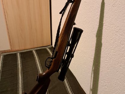 Steyrer Modell M