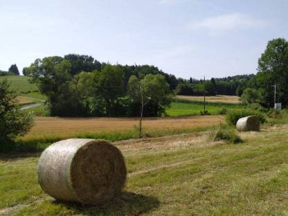 Bild 2:Bio-zertifiziert - Heuballen Heu Rundballen