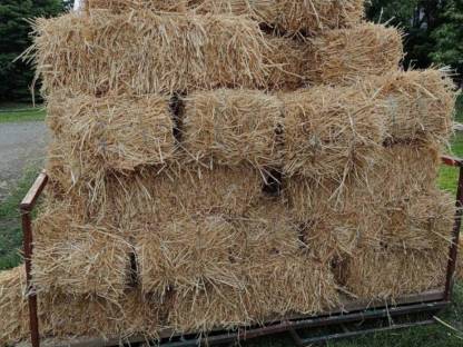 Bild 2:Bio Stroh und Heu in Rundballen und quarda