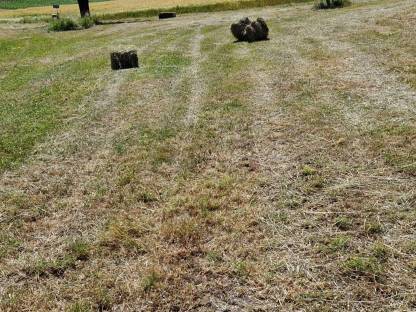 Bild 4:Heuballen