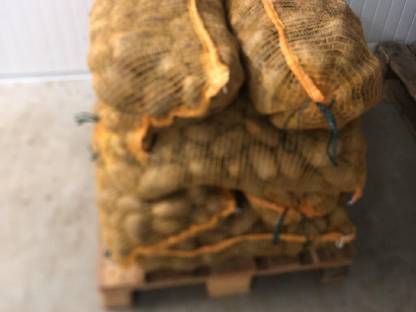 Bild 2:Speisekartoffeln