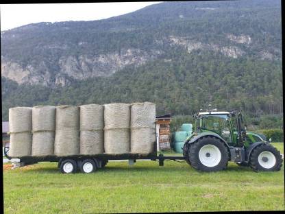Bild 2:Heu