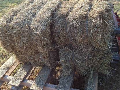 Bild 3:Kleinballen Hochdruckballen