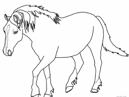 Suche Ponystute Beisteller