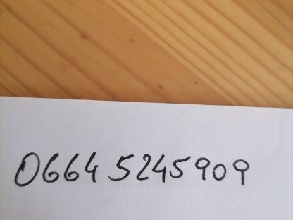 Bild 2:Riesenschecken blau weiß Jungtiere