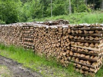 Brennholz