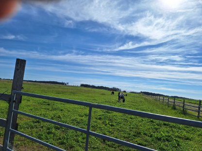 Bild 7:Einstellplätze frei (Bezirk Zwettl) bei Ottenschlag