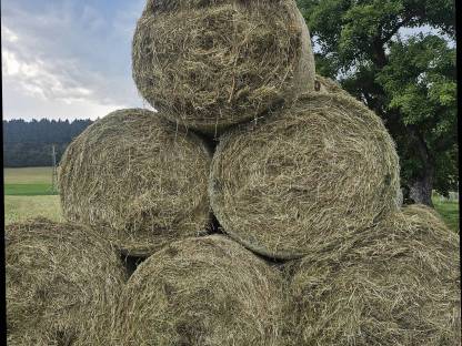 Heuballen 1. Schnitt 2025