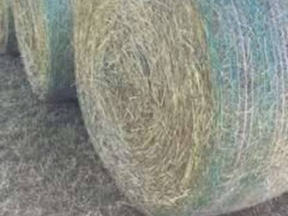 Heu Rundballen