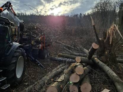 Bild 2:Forstarbeiten