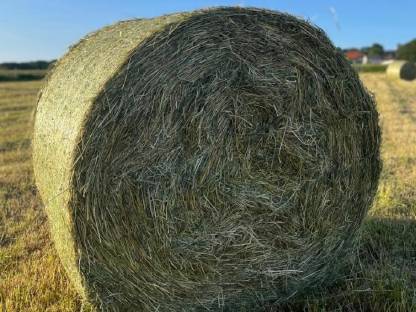 HEU Rundballen