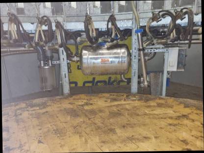 Bild 4:Melkkarussell Schafe Ziegen