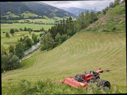 Bild 4:Mulchen von sämtlichen Flächen