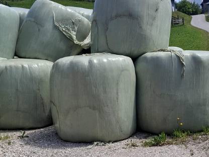 Silageballen 2. Schnitt