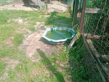 Bild 7:Enten- oder Hühnerstall zu verschenken