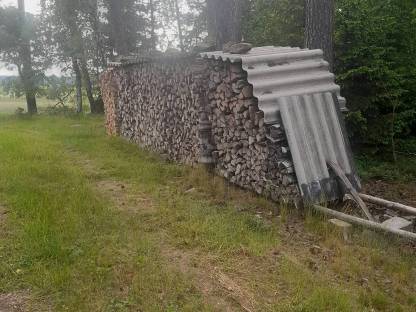 Bild 2:Birkenbrennholz