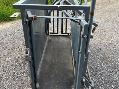 Klauenstand für Schafe