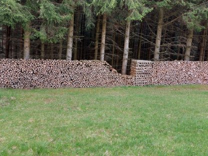 Brennholz Fichte