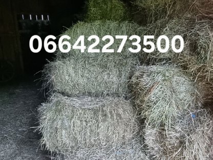 Bild 2:HEU ZU VERKAUFEN