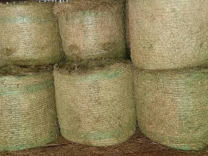 Bild 2:Heu 2. Schnitt