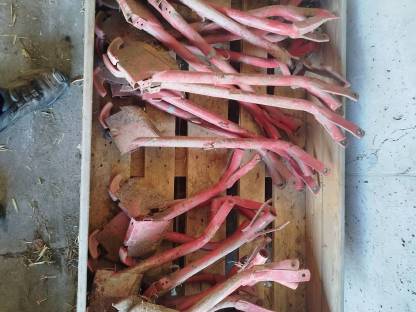 Bild 2:Schleppschare von Accord