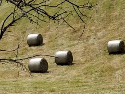 Heurundballen