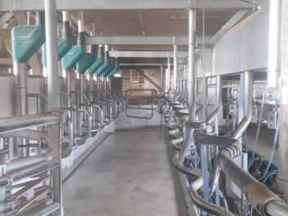 Hanskamp Pipefeeder Melkstandfütterung