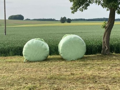 Verkaufe 2 Silorundballen